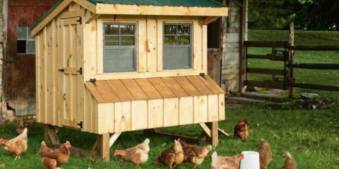 Výstavba kuřecího koše pro chalupy - jak vytvořit jednoduché a kvalitní kuřecí roztok (105 fotografií + video)